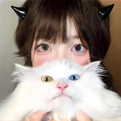 新儿女英雄传